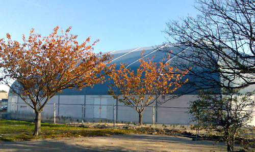 St Dominic's School, Dublin